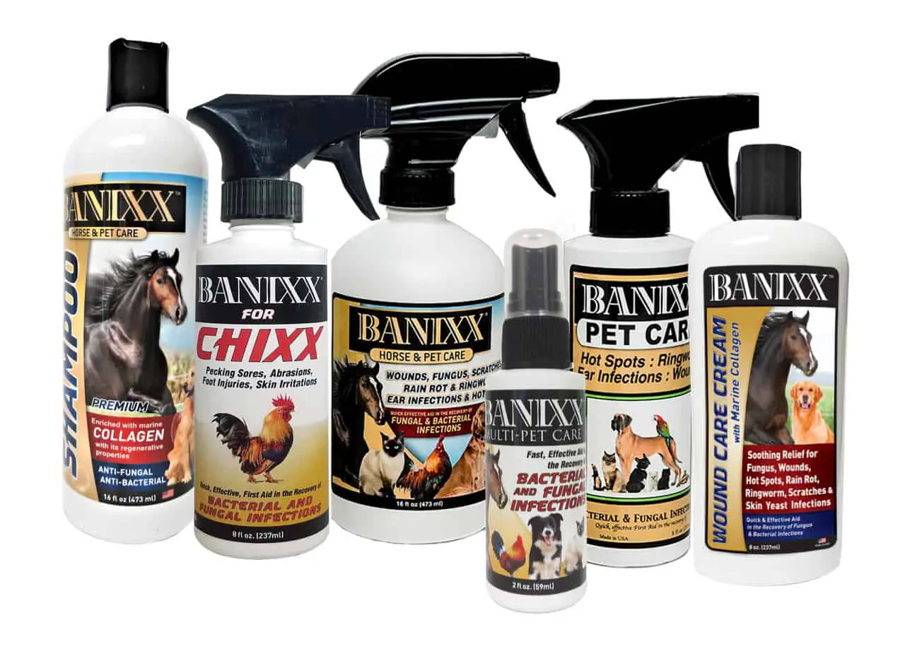 Banixx Pet Care Remedy For Bacterial and Fungal Infections