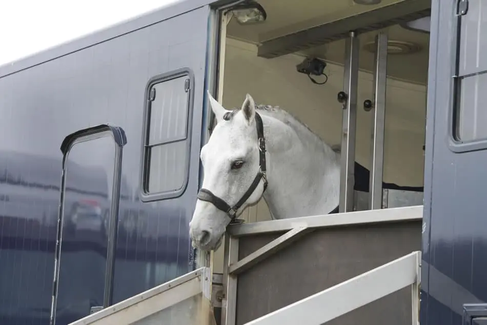 horse trailer safety tips