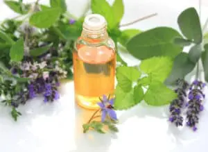 essential oils for ear infections