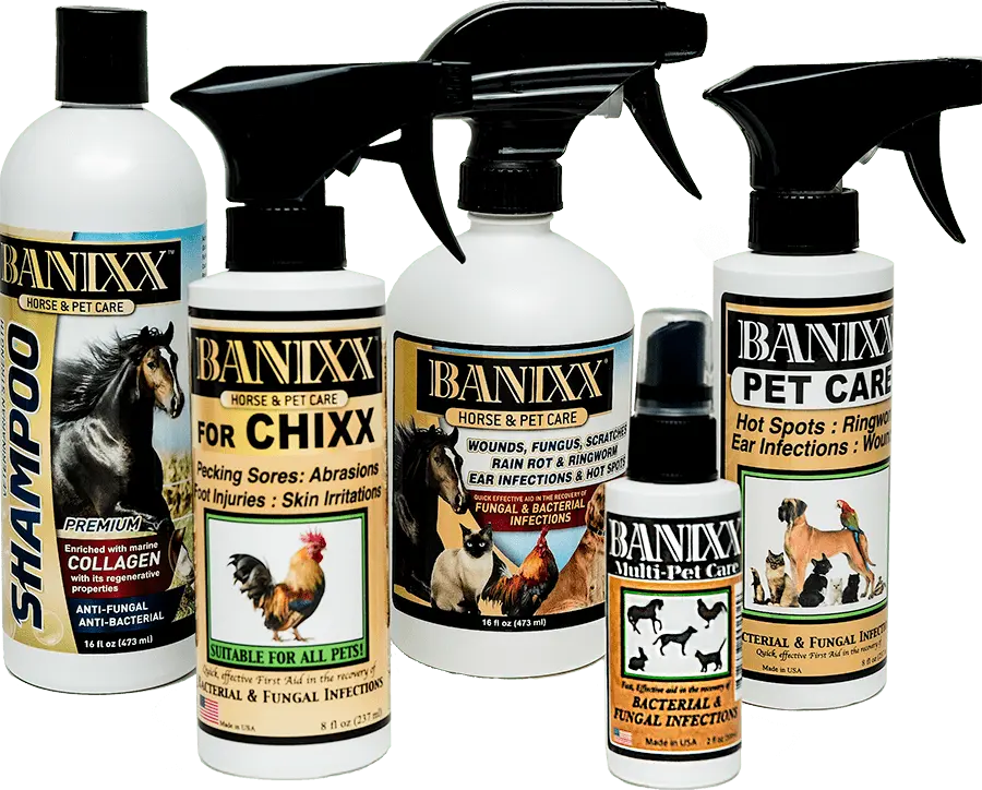 banixx pet products