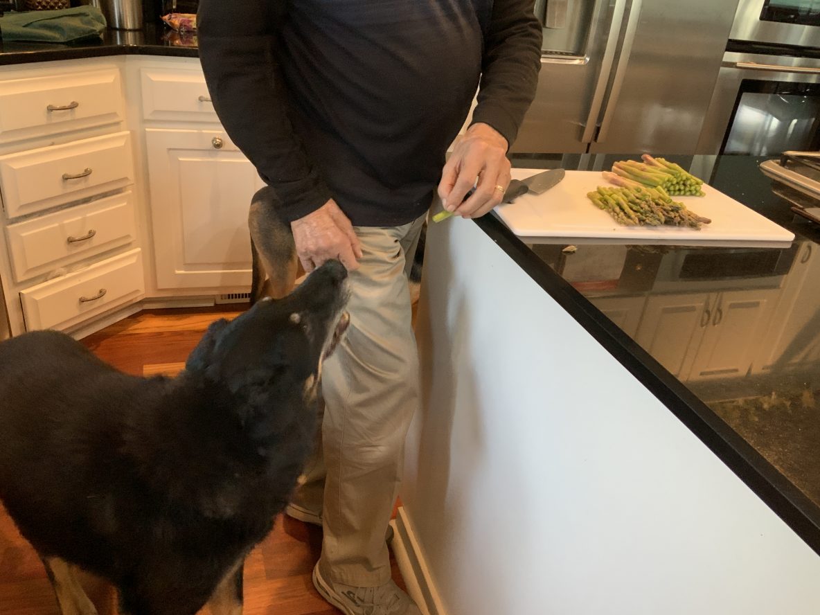 can I feed my dog asparagus
