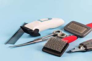 Combs and brushes to groom a dog