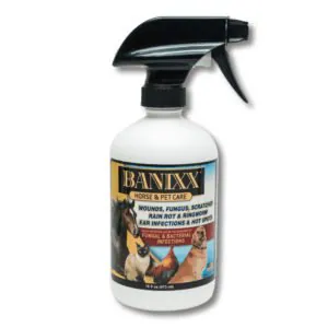 Banixx for Horses
