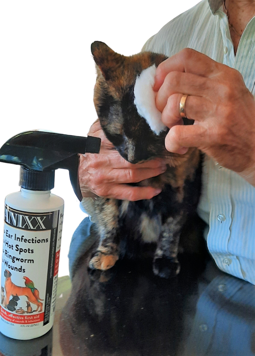 Using Banixx to make Pet Wipes for Cats