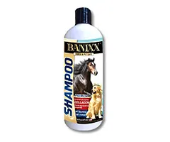 dog yeast skin infection shampoo