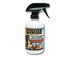 banixx for horses
