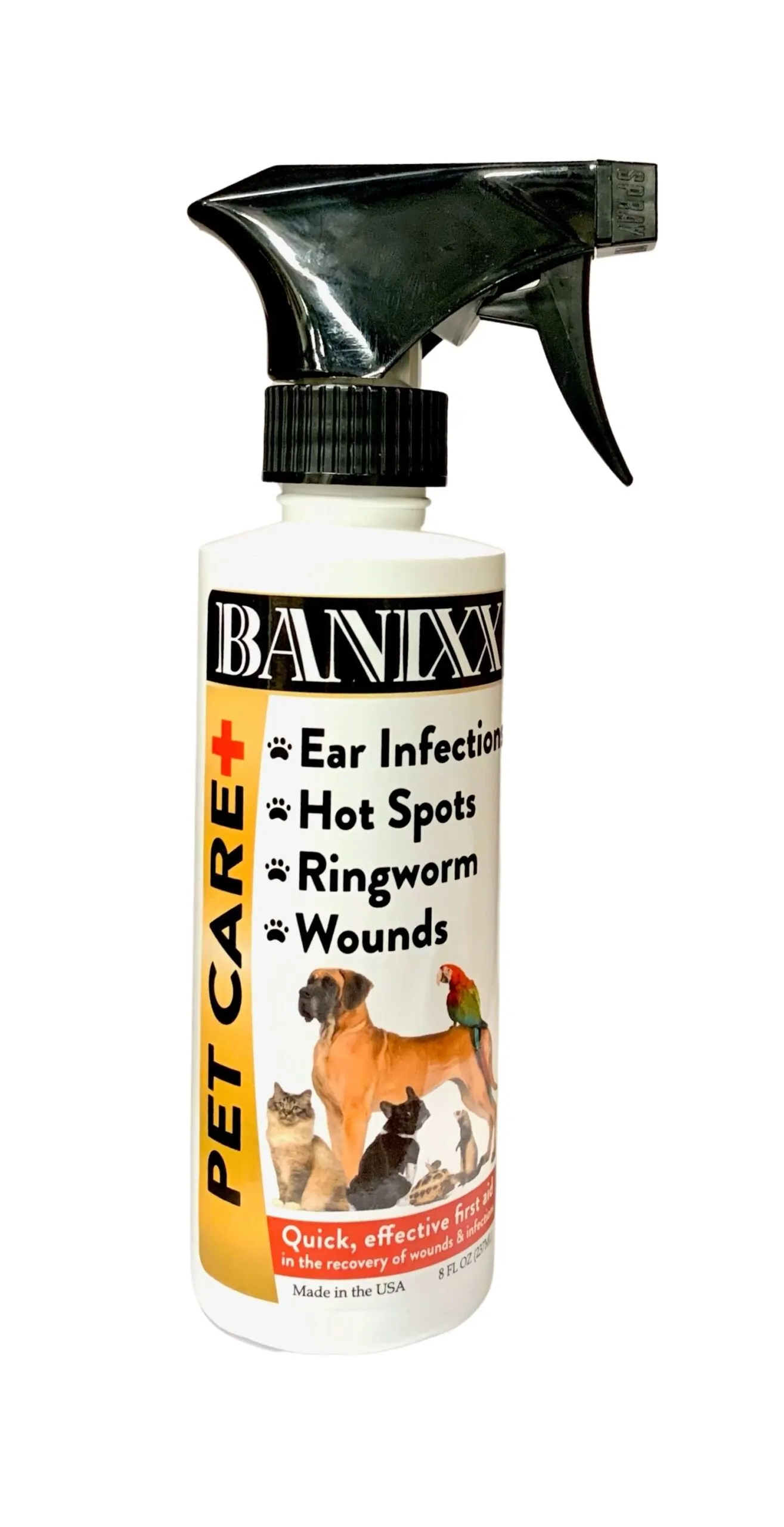 ringworm medicine for dogs