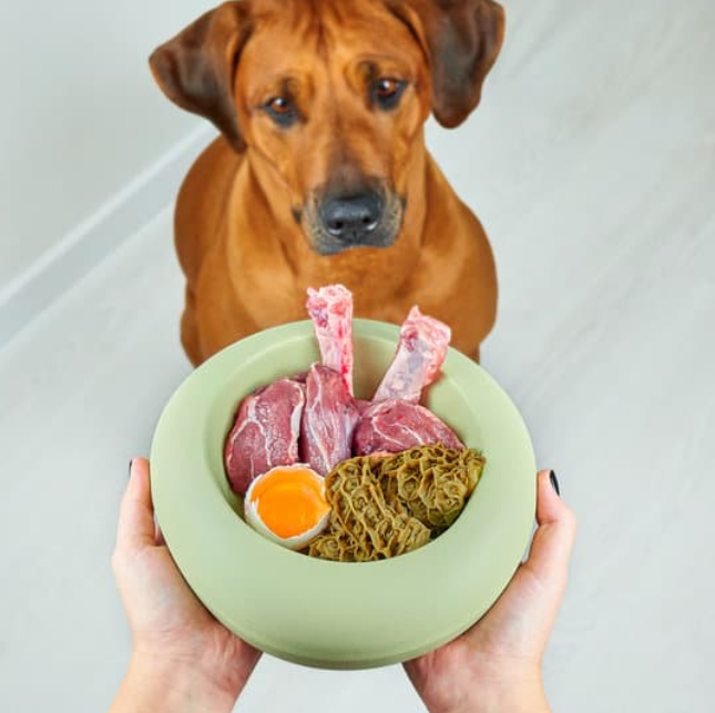 The Best Meats for Dogs - Banixx